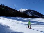 Feistritzlift - Schlepplift mit T-Bügel/Anker
