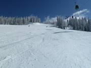 Abfahrt am Flying Mozart