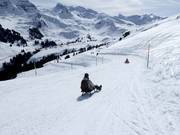 Tipp für die Kleinen  - Schlittelweg Sillerenbühl - Bergläger
