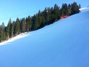 Die Kandahar ist steil