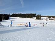 Ideales Gelände für Familien