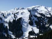 Blick auf die schweren Pisten und Skirouten am Sunnegg