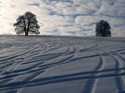 Bei viel Schnee gibt es Tiefschneeabfahrten