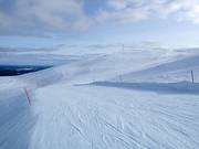 Blick zum Gipfel Yllästunturi