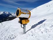 Umfassende Beschneiung