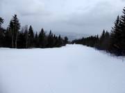 Leichte und breite Piste La Familiale