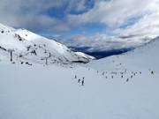 Leichte Piste Alta Green