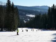 Leichte Piste am Schlepplift Spodní Šance
