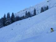 Abfahrten an der Iselerbahn