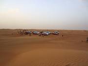 Treffpunkt in der Wüste