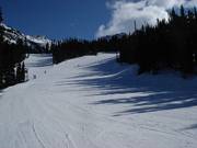 Perfekte Waldabfahrten