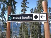 Ausschilderung einer Abfahrt