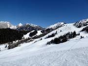 Blick über die Pisten im oberen Bereich des Skigebiets