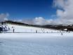 Skigebiete für Anfänger in den Australische Alpen – Anfänger Falls Creek