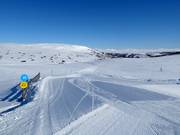 Leichte Verbindungspiste Rypestien