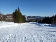 Mittelschwere Piste Nr. 15