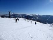 Blick vom Medvědín über das Riesengebirge