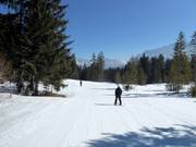 Leichte Bayernhaus-Abfahrt