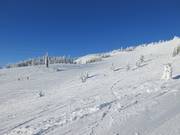 Abfahrt Fall Line am West Bowl T-Bar