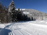 Die Loipe führt entlang der Passhöhe