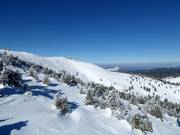 Blick von der 6er-Sesselbahn Krčmar zum Pančićev vrh