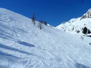 Freeridegebiet am Zweitausender