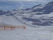 Trattalmmulde - Förderband/Zauberteppich