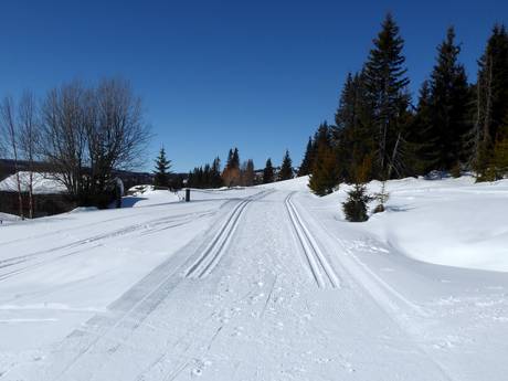 Langlauf Gudbrandsdalen – Langlauf Kvitfjell