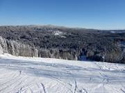Steilere Abfahrt am Kißlingerlift