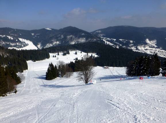 Blick auf die Abfahrten am Schwinbach-Schlepplift