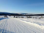 Blick von Lindvallen zum Högfjellet