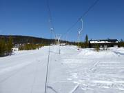 Fjälljätteliften - Tellerlift