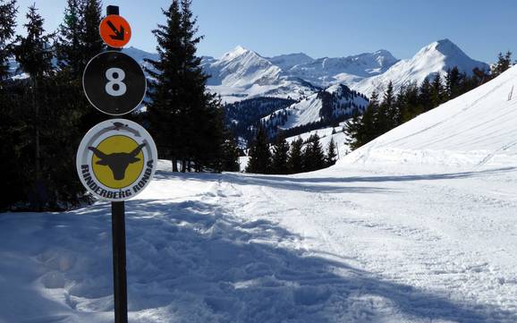 Skigebiete für Könner und Freeriding Gstaad – Könner, Freerider Rinderberg/Saanerslochgrat/Horneggli – Zweisimmen/Saanenmöser/Schönried/St. Stephan