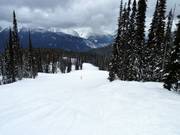 Verbindungspiste Ripper Connector