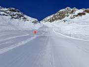 Piste Schwarzer Hang (Diavolezza)