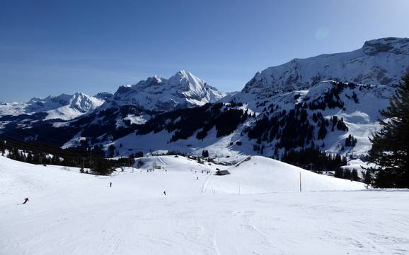 Skifahren in Adelboden-Frutigen