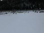 Anfängerbereich mit Seillift in Flachauwinkl