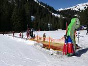 Bunny Express 1 - Förderband/Zauberteppich