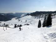 Blick von der Winkelliftabfahrt hinüber zum Franzosenberg