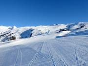 Pisten Tétras und Renard (La Rosière)