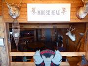 Moosehead Bar im Abom