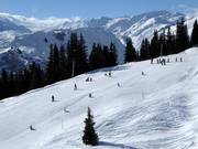 Leichte Piste am Übungslift Caischavedra