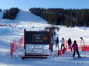 L5 Sparven - Tellerlift