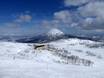 Japan: Testberichte von Skigebieten – Testbericht Niseko United – Annupuri/Grand Hirafu/Hanazono/Niseko Village