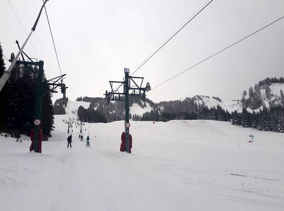 TK Coq 1 - © Michael Medek