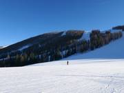 Das Skigebiet auf der Höss