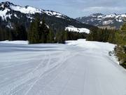 Leichte Familienabfahrt