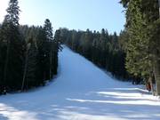 Schwarze Piste Martinovi baraki 4