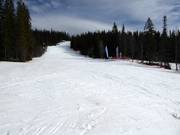 Leichte Piste Järvbacken