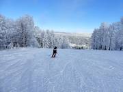 Mittelschwere Piste an der Kleinen Almberg-Sesselbahn
